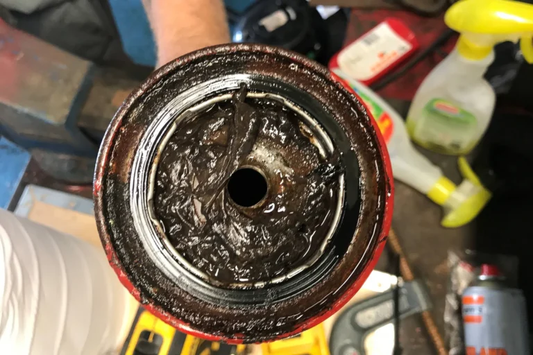 diesel bug inside a fuel tank filter